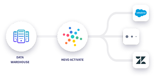 Hevo Activate: Salesforce Customer Data